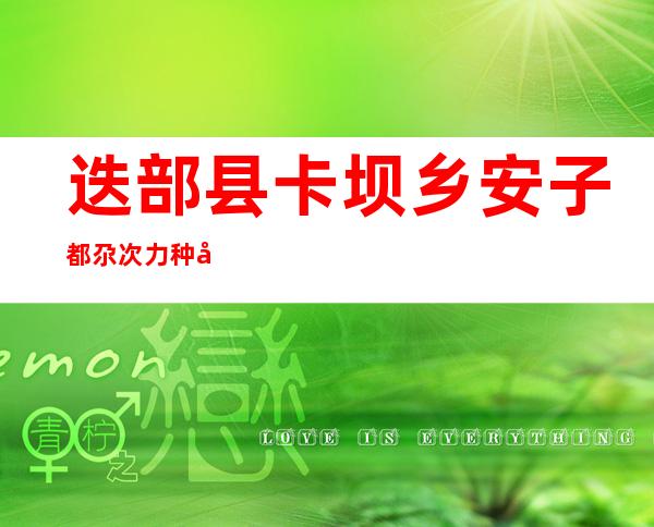 迭部县卡坝乡安子都尕次力种养殖专业合作社